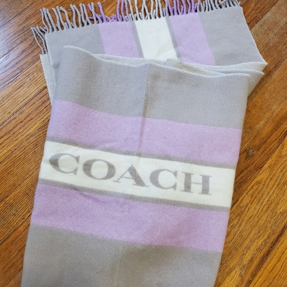 Coach Varsity Stripe Grey/Violet Orchid Large Scarf/ Wrap W/Fringe 100% Wool - Picture 1 of 8